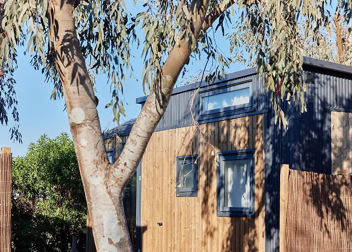 Hotel cerca del colegio: Taiga Delta De L'Ebre